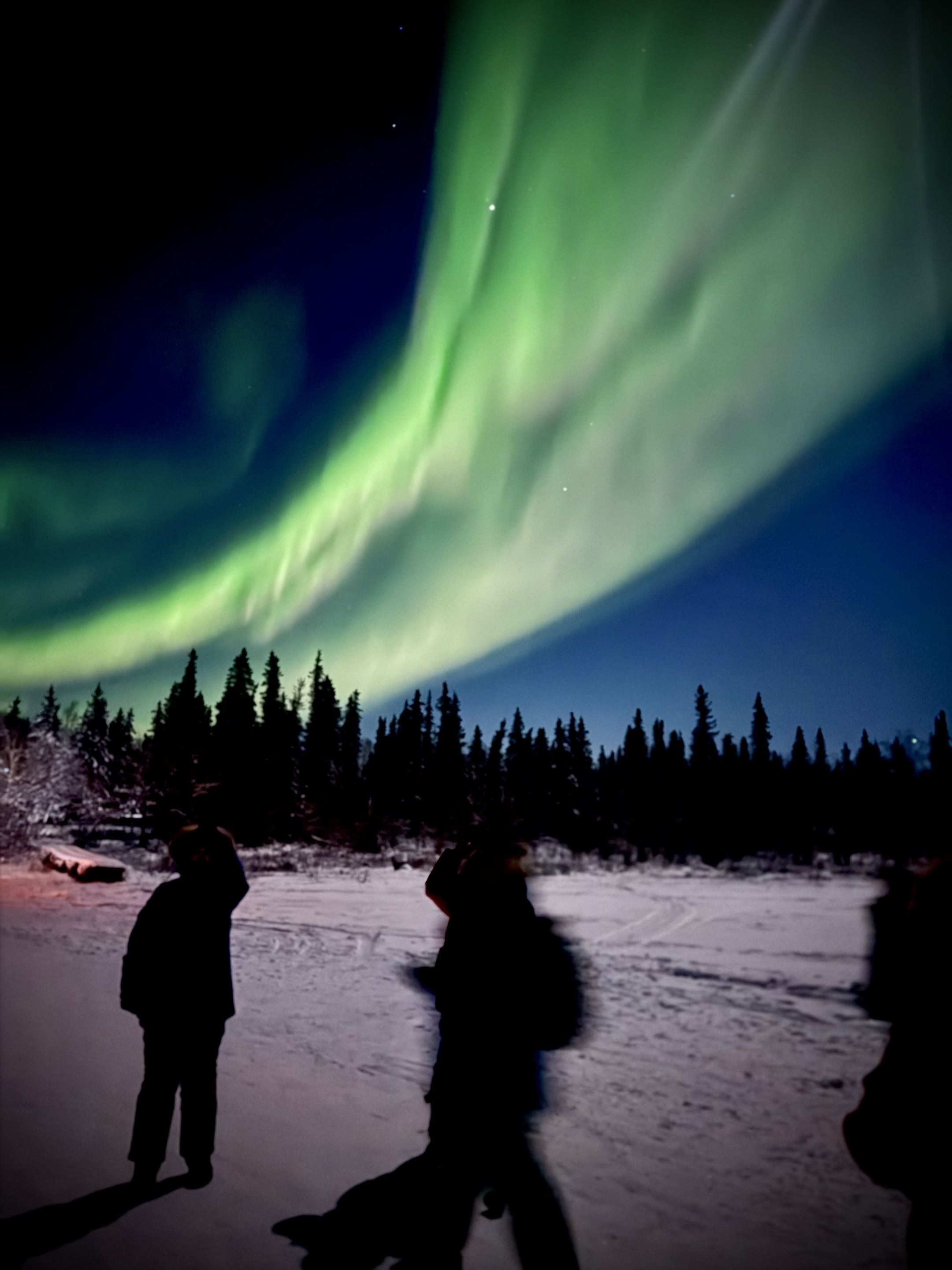 Northern lights over a snowy forest in Yellowknife, Canada